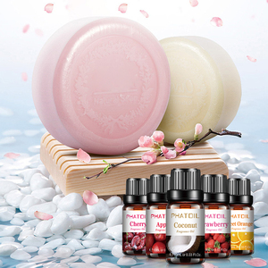 Lot d'huiles essentielles, 10 ou 10 pièces, pour un diffuseur d'arôme, boîte en noix de coco, mangue, pastèque, <span class=keywords><strong>fraise</strong></span> - Product Image 5