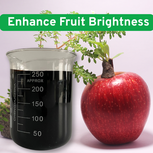 <span class=keywords><strong>Fertilizante</strong></span> Líquido Superconcentrado de Ácido Húmico, <span class=keywords><strong>Fertilizante</strong></span> Orgánico para Acondicionamiento del Suelo, Crecimiento de Raíces, Uso Agrícola y de Jardinería - Product Image 6