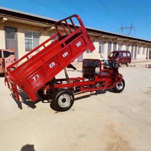 Sepeda Motor Roda Tiga Bensin Buatan Cina, Tricycle Bermotor Pengangkut Barang - Product Image 2