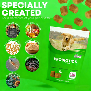 Probiotiques pour chiens OEM ODM Private Label avec prébiotiques favorisant un microbiome intestinal équilibré - Renforce la santé immunitaire - Friandises à mâcher molles - Product Image 4