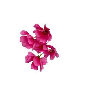 Flores Artificiales Cosmos de Seis Cabezas, Colores Mezclados, Seda Realista, Decoración de Boda, Estilo Moderno - Product Image 5