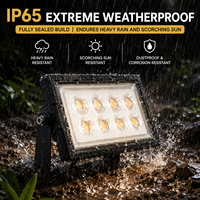 Projecteur LED paysager 50W 100W IP65 étanche à faisceau étroit de 30 degrés pour éclairage d'arbre extérieur et éclairage architectural avec RGB