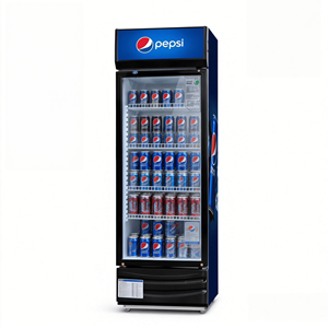 Réfrigérateur-congélateur Pepsi à double <span class=keywords><strong>porte</strong></span>, congélateur commercial, réfrigérateur de présentation 1/<span class=keywords><strong>2</strong></span>/3 portes, équipement de réfrigération à refroidissement par air - Product Image 4