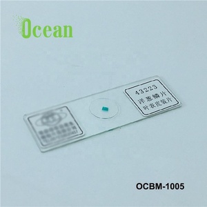 Epidermis de <span class=keywords><strong>Cebolla</strong></span>, Preparada para <span class=keywords><strong>Microscopio</strong></span>, para Educación y Escuela - Product Image 1