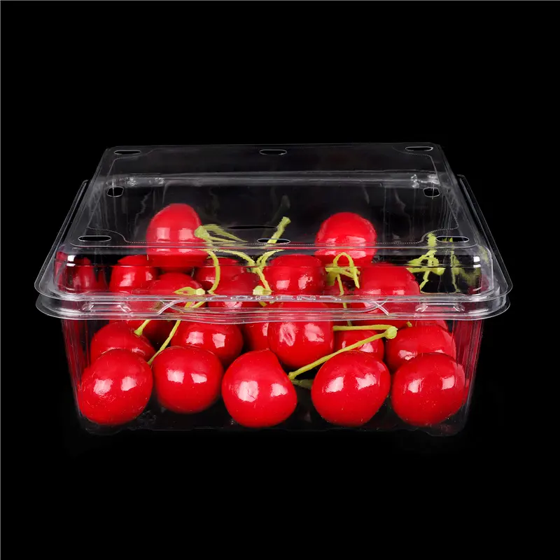 Boîte d'emballage de fruits et légumes récipient jetable avec trou de respiration présentoir de salade de collation en plastique à emporter