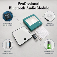 Lecteur audio musical personnalisé avec aimant pour réfrigérateur (personnalisable) - Téléchargement de 128 Mo via port USB - Connexion Bluetooth