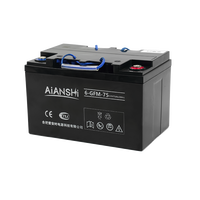 Batterie AGM 12V 75Ah à décharge profonde, sans entretien, pour transpalette électrique, gerbeur, autolaveuse 259x170x160mm
