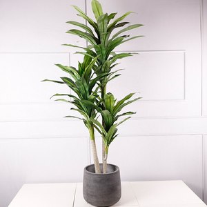 Plantes Artificielles d'<span class=keywords><strong>Intérieur</strong></span> en Plastique à Feuilles Persistantes avec Pots Arbres Artificiels faux Dracaena Fragrans - Product Image 3