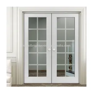 Elegant White Interior Double Door Design