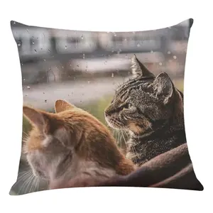 Sarung bantal hitam motif kekasih cerdas tema kucing siap dikirim