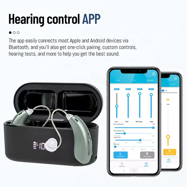 Professional 16-Channel Rechargeable Smart APP Programmable for Bluetooth RIC Earset for Hearing Loss Manufacturer
