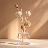 Bouteille en verre vide personnalisée pour diffuseur à bâtonnets avec bouchon et bâtonnets, bouteille en verre ronde pour diffuseur d'arômes