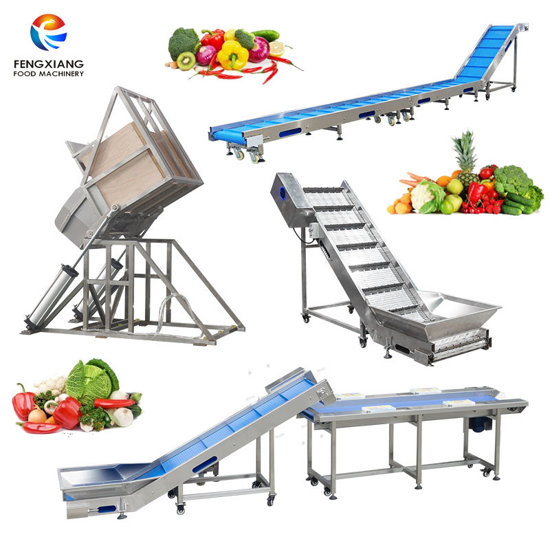 Commercial Radish Carrots Processing Line Radish