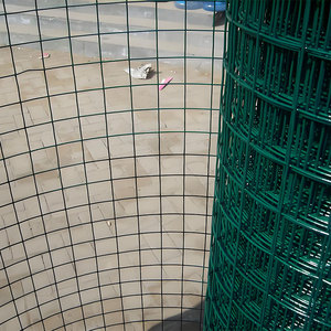 Rollos de malla de alambre soldado de primera calidad Red de cercado de acero recubierto de PVC galvanizado para cercas de pollo y aplicaciones de construcción de servicio pesado - Product Image 2