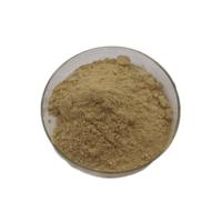 Placenta de cheval Capsules Femme Soins Private Label Extrait de placenta de cheval