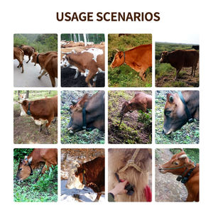 AHGUEP Marca Ranch Animal GPS Tracker con 4G/LBS/Beidou, magnético y resistente al agua para ganado, ovejas, caballos - Product Image 5