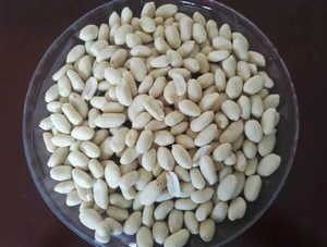 Cacahuetes Crudos al por Mayor de Alta Calidad, Núcleos de Cacahuete Naturales Blanqueados, Personalizados para Snacks, Suministro de Alimentos a Granel - Product Image 1