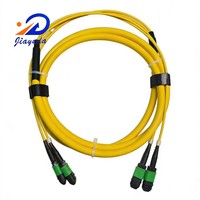 Heavy Duty 24 Fiber 2x MPO-MPO SM G.657A2 G.657A1 G.652D Telco Grade Low Loss Backbone Trunk Cable for 400G 800G Data Center