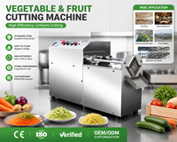 Commerciële automatische fruit-, groente- en versvlees snijmachine van roestvrij staal voor hotels, fabrieken, op maat gemaakt