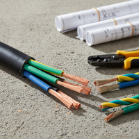 Câble électrique RVS 2*0.5/0.75/1/2.5/4/6mm² 2.5 RM souple, résistant au feu, paire torsadée, gaine PVC, faible coût de construction