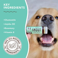 Crème Hydratante Protectrice pour Museau et Pattes de Mini Chiens, Saine et Naturelle, Marque Blanche OEM/ODM, Kits de Soin pour Animaux