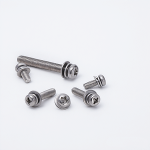 Tornillo de Cabeza Cruzada Pequeña GB9074.8 de Acero Inoxidable Premium con Arandelas de Resorte y Planas - Product Image 2