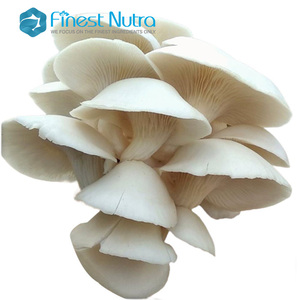 Venta caliente 10%-50% Polisacárido King Oyster Mushroom Extract Pleurotus <span class=keywords><strong>Eryngii</strong></span> Extract Powder - Product Image 5