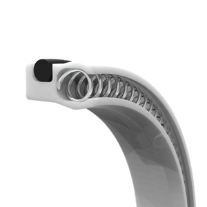 Quanseal PTFE con dấu mùa xuân mô hình C Kích thước 1-1900 - Product Image 1