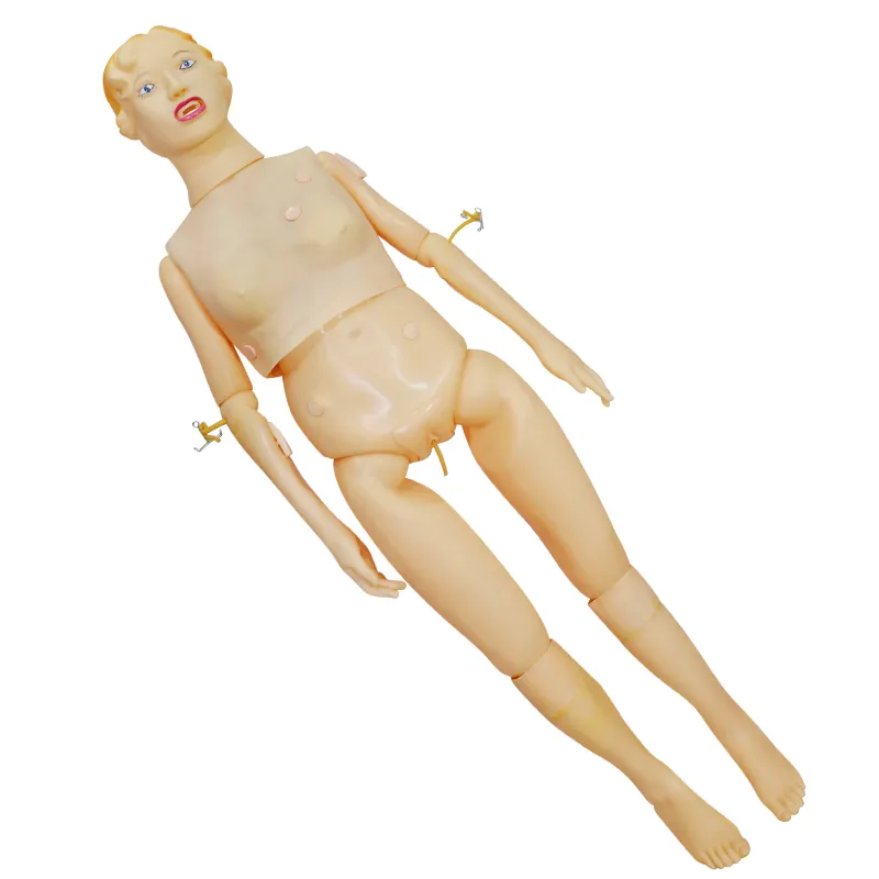 Sıcak satış tıbbi biyolojik anatomik yapı modeli PVC hemşirelik eğitimi kadın