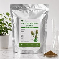 Poudre d'extrait naturel de Dipsacus Asper de qualité alimentaire, rapports d'extraction par solvant 10:1, 30:1, 50:1