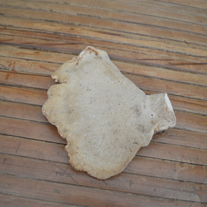 Crudos secos Laetiporus Cincinnatus pollo natural a granel de las maderas basura azufre Polypore estante para la venta - Product Image 4