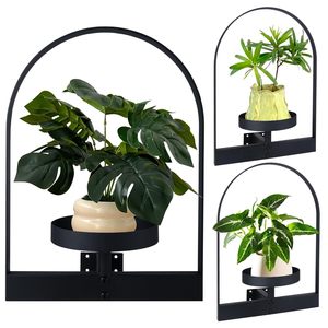 Étagère murale à cadre en métal simple et moderne pour plantes Étagère à fleurs d'intérieur Assemblage facile pour les amoureux des plantes Plateau pour pots de fleurs - Product Image 1