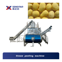 Frites En Frites Frites Friet Lijn Volledig Automatisch 1000Kg/U 1/4 Bevroren Vinger Aardappel Frietjes Maken Machine