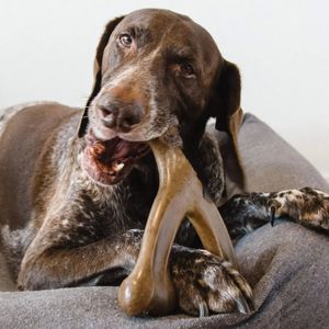 Juguete de Nylon Resistente para Perros con Forma de Hueso, Apto para Alimentos, para Masticadores Agresivos, con Sabor a Tocino, Pollo, Carne, Cacahuete y Madera - Product Image 4