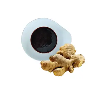 Professional Supplier Ginger Oleoresin Ginger Extract Gingerol for Health Care