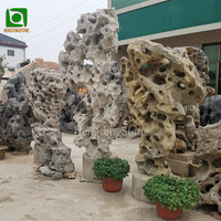 Décoration d'extérieur et de maison Paysage naturel Pierre de corail Pierre de Taihu