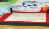Suelo Profesional para Ejercicios Aeróbicos de Alto Rendimiento, Estándar FIG, 12m*12m, Láminas de Madera de Alta Densidad, Impermeable, Duradero, Blanco