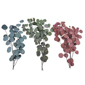 Ouverture d'un nouveau magasin: plante d'<span class=keywords><strong>eucalyptus</strong></span> en argent dollar décoration plante en feuille d'<span class=keywords><strong>eucalyptus</strong></span> en soie utilisée pour la décoration de mariage - Product Image 5
