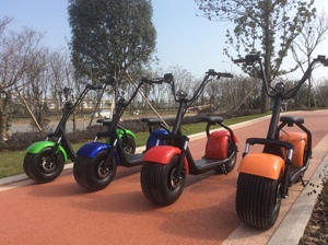 E-Scooter EH01 Mit Zulassung E-Bike Elektro Scooter City Roller 60V 12AH/20AH 1000W/2000W Citycoco - Product Image 3