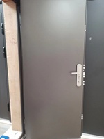 Porte d'entrée principale en acier de sécurité, anti-effraction, ignifuge, insonorisée, étanche, pour maison, appartement, villa