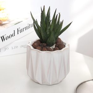 Maceta Rústica de Cerámica Esmaltada de 4 Pulgadas con Orificio de Drenaje, Duradera, Ecológica, Ligera, Biodegradable, para Suculentas, Cactus, Estilo Rústico - Product Image 3