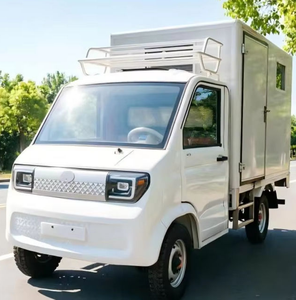 NUEN, <span class=keywords><strong>prix</strong></span> le plus avantageux en Chine pour les véhicules électriques de fret à quatre roues puissants, équipés d'un moteur de 2000W - Product Image 5