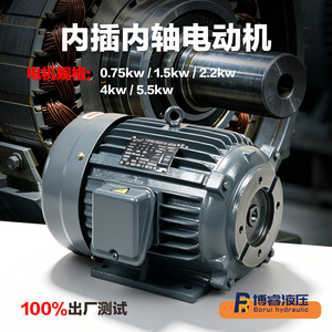 มอเตอร์ไฮดรอลิก Bo Rui 0.75KW ถึง 7.5KW แบบเสียบภายใน สำหรับสถานีไฮดรอลิก - Product Image 2