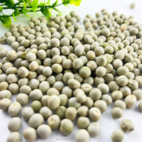 Meilleur prix de graines de pois entiers biologiques séchés de haute qualité