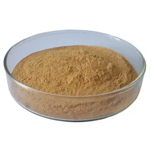 Hight Quality Pure Natural Indian Bread Poria Cocos Tuckahoe Extract Powder