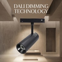 DALI IEC 62386 Rail lumineux magnétique en aluminium moderne COB 3000K-6000K Blanc réglable 48V DC Lampe LED commerciale CRI 90 Ra 90 Garantie 2 ans