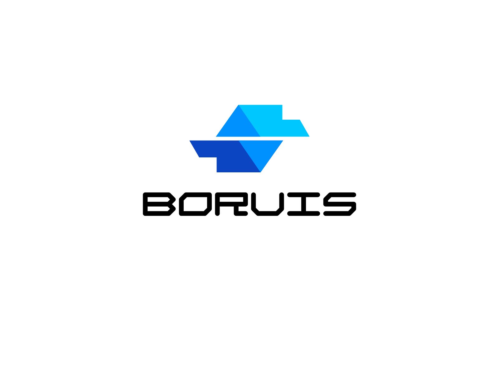 Guangzhou Boruis Intelligent Technology Co., Ltd. logo