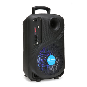 Haut-parleur portable d'extérieur TTD-8251 de <span class=keywords><strong>8</strong></span> pouces pour karaoké, caisson de basses en plastique, enceinte audio de voiture 20W 10W - Product Image 2