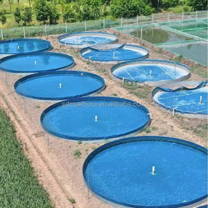 Su ürünleri yetiştiriciliği karides balık yetiştiriciliği ile özelleştirilebilir ticari Aquaponics sistemleri Aquaponics büyüyen sistemleri - Product Image 4
