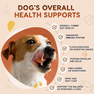 Probiótico de Marca Privada OEM/ODM para Perros, Favorece la Salud Digestiva, el Equilibrio Intestinal y el Sistema Inmunitario, Suplemento en Tabletas Masticables Blandas - Product Image 4